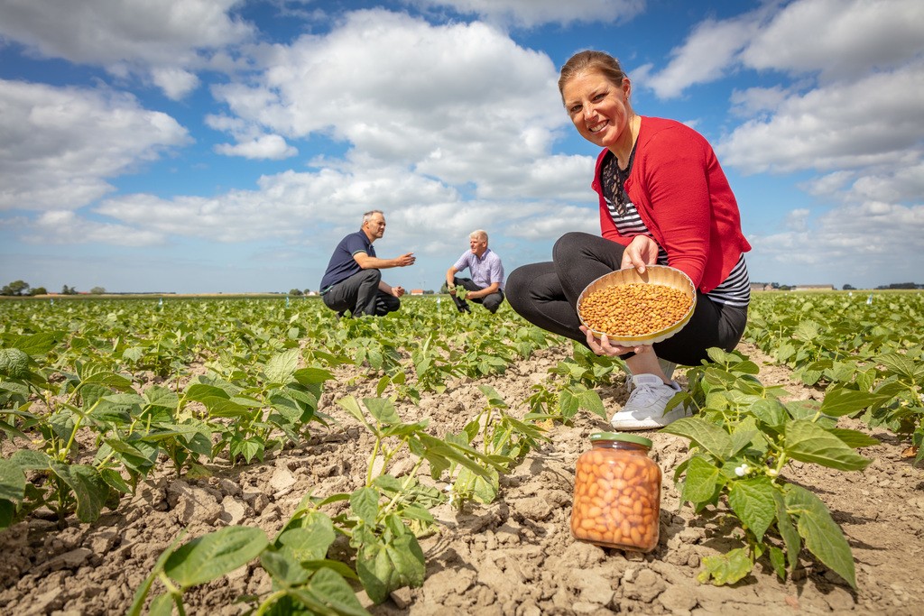 Termont & Thomaes BV in Biervliet