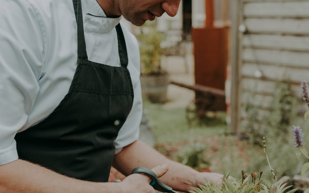 Tearoom Restaurant d’Ouwe Schuure in Sluis
