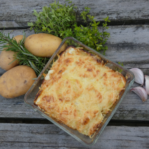 Aardappelgratin