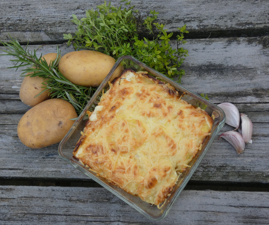 Aardappelgratin