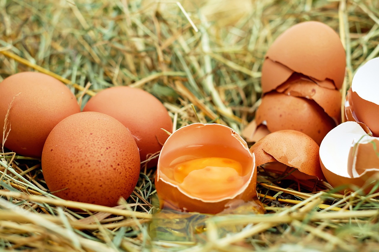 Eieren, of eiers in het Zeeuws-Vlaams