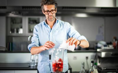 Fraises de Guillaume in Moerkerke